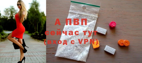 spice Арсеньев